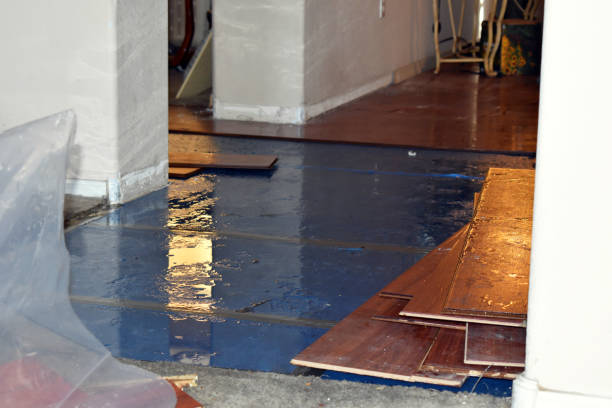 Professional Water Damage technician working in Hunters, WA